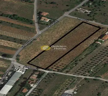 Parcel 3500m<sup>2</sup> for rent photo 1
