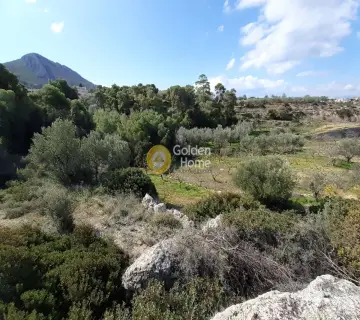 Οικιστικό 7708τ.μ. προς πώληση φωτογραφία 2500768