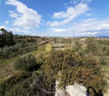 Οικιστικό 7708τ.μ. προς πώληση φωτογραφία 2500769