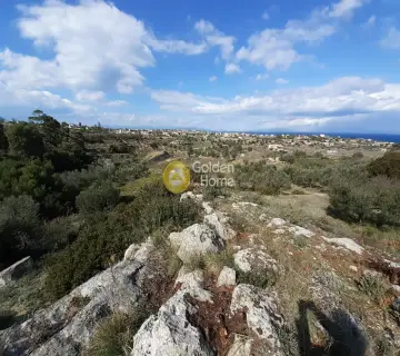Οικιστικό 7708τ.μ. προς πώληση φωτογραφία 2500800