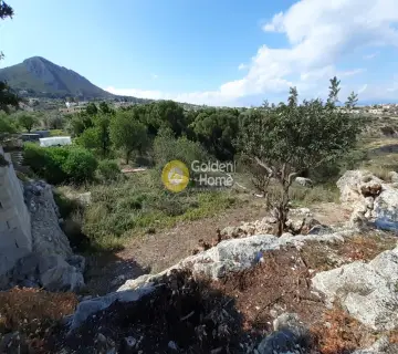 Οικιστικό 7708τ.μ. προς πώληση φωτογραφία 2500806