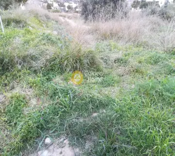 Οικιστικό 440τ.μ. προς πώληση φωτογραφία 3