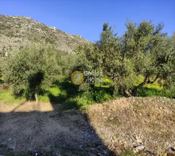Parcel 1160m<sup>2</sup> for sale photo 7