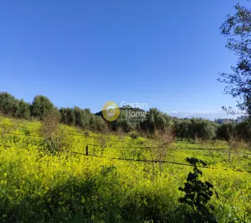 Parcel 1160m<sup>2</sup> for sale photo 12