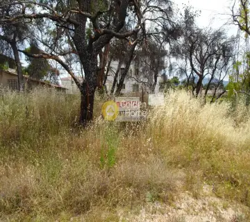 Residential 1014m<sup>2</sup> for sale photo 3690926