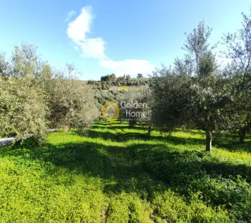 Residential 1000m<sup>2</sup> for sale photo 15