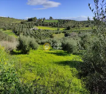 Residential 2600m<sup>2</sup> for sale photo 1