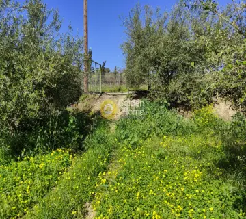 Residential 2004m<sup>2</sup> for sale photo 9