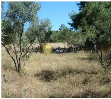 Parcel 5043m<sup>2</sup> for sale photo 2