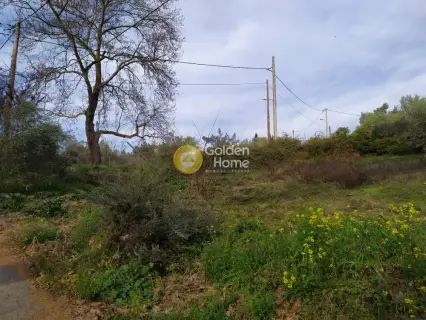 Οικιστικό 1650τ.μ. προς πώληση φωτογραφία 4