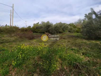 Οικιστικό 1650τ.μ. προς πώληση φωτογραφία 5