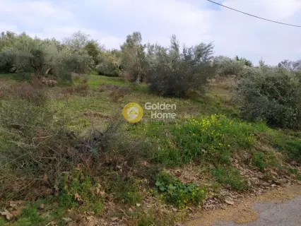 Οικιστικό 1650τ.μ. προς πώληση φωτογραφία 7