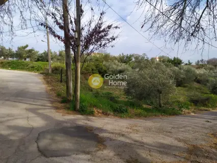 Οικιστικό 1650τ.μ. προς πώληση φωτογραφία 2