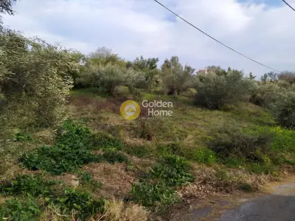 Οικιστικό 1650τ.μ. προς πώληση φωτογραφία 8