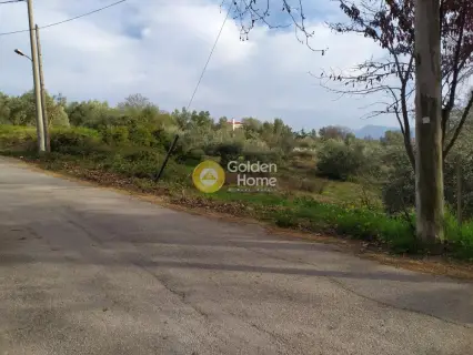 Οικιστικό 1650τ.μ. προς πώληση φωτογραφία 3