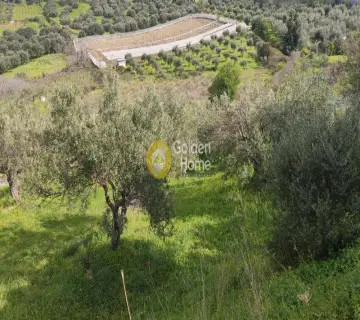 Residential 5300m<sup>2</sup> for sale photo 2512485