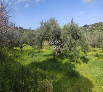 Residential 5300m<sup>2</sup> for sale photo 2512490