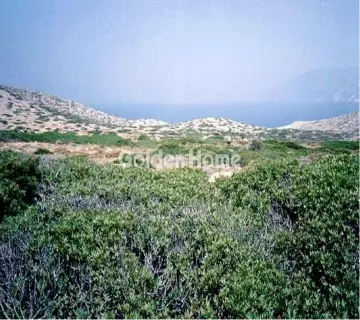 岛屿 1337241m<sup>2</sup> for sale photo 5068279