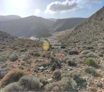 Area 300000m<sup>2</sup> for sale photo 12