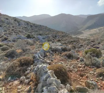 Area 300000m<sup>2</sup> for sale photo 15