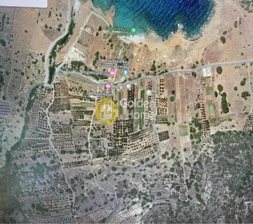 Residential 1650m<sup>2</sup> for sale photo 1