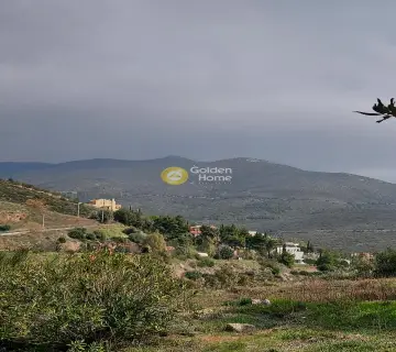 Residential 1390m<sup>2</sup> for sale photo 2