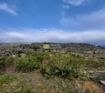 Residential 1390m<sup>2</sup> for sale photo 3