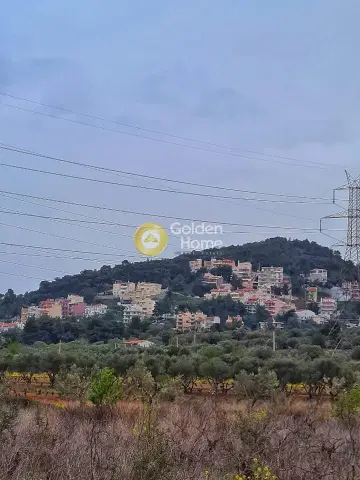 Residential 255m<sup>2</sup> for sale photo 1