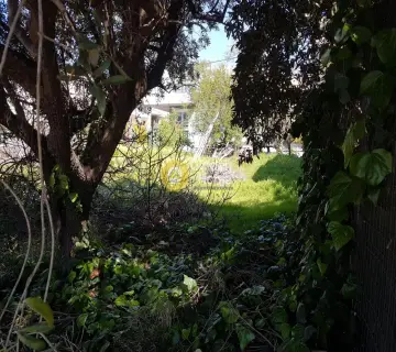 Professional Plot 290m<sup>2</sup> for sale photo 4