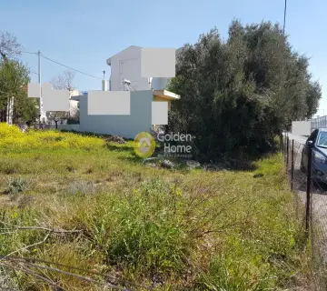 Professional Plot 290m<sup>2</sup> for sale photo 3