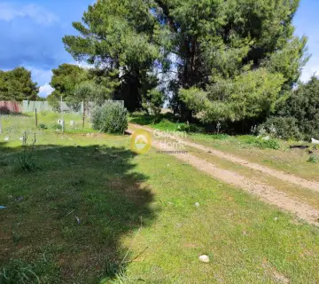 住宅 306m<sup>2</sup> for sale photo 2522417
