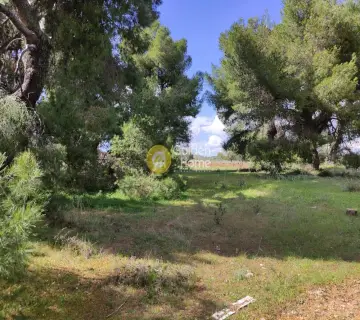 住宅 306m<sup>2</sup> for sale photo 2522418