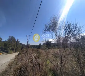 Οικιστικό 4320τ.μ. προς πώληση φωτογραφία 7