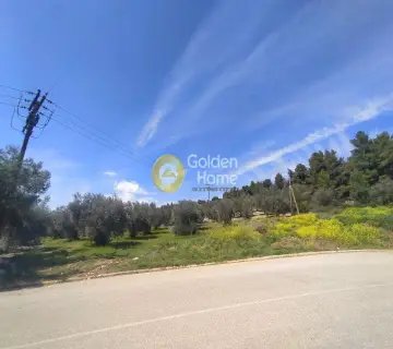 Οικιστικό 3000τ.μ. προς πώληση φωτογραφία 3