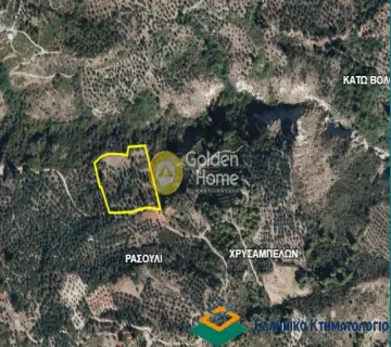 Golden Home Property Image