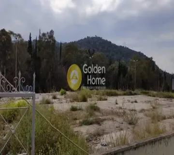 Golden Home Property Image