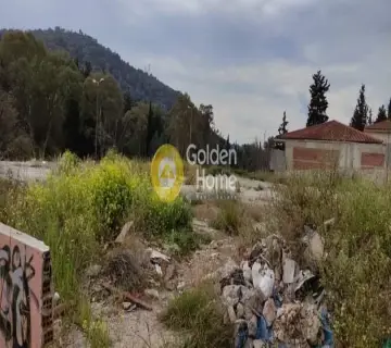 Επαγγελ. Οικόπεδο 1400τ.μ. προς ενοικίαση φωτογραφία 7