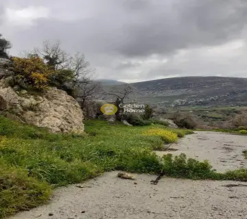 Residential 50000m<sup>2</sup> for sale photo 4