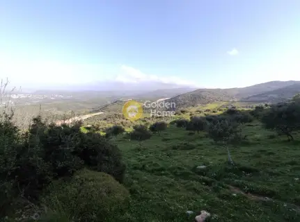 Parcel 27294m<sup>2</sup> for sale photo 2542683