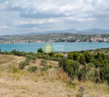 Parcel 16843m<sup>2</sup> for sale photo 2