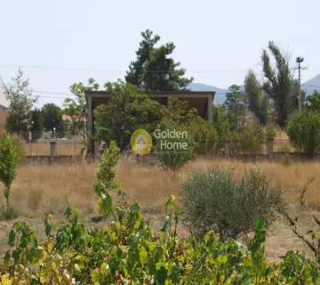 Κτίριο 420τ.μ. προς πώληση φωτογραφία 8