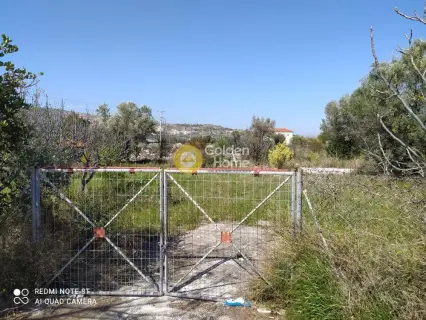 Professional Plot 7000m<sup>2</sup> for rent photo 2