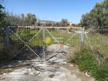 Professional Plot 7000m<sup>2</sup> for rent photo 3
