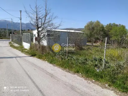 Professional Plot 7000m<sup>2</sup> for rent photo 4