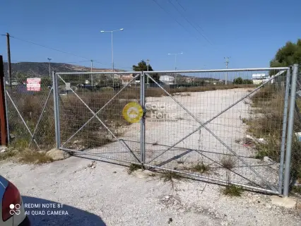 Professional Plot 7000m<sup>2</sup> for rent photo 12