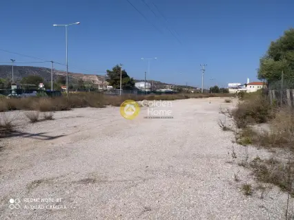 Professional Plot 7000m<sup>2</sup> for rent photo 18