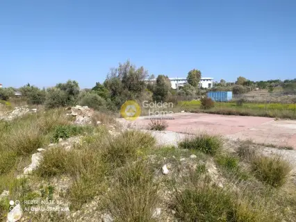 Professional Plot 7000m<sup>2</sup> for rent photo 21