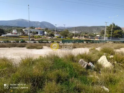 Professional Plot 7000m<sup>2</sup> for rent photo 23