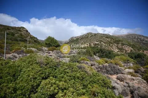 Residential 4957m<sup>2</sup> for sale photo 3