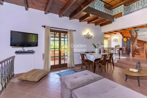 House 300m<sup>2</sup> for sale photo 1